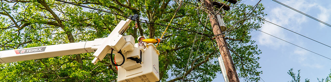 Trees that grow near power lines are a serious safety risk. Oncor tree crews may prune or remove trees that pose a danger.