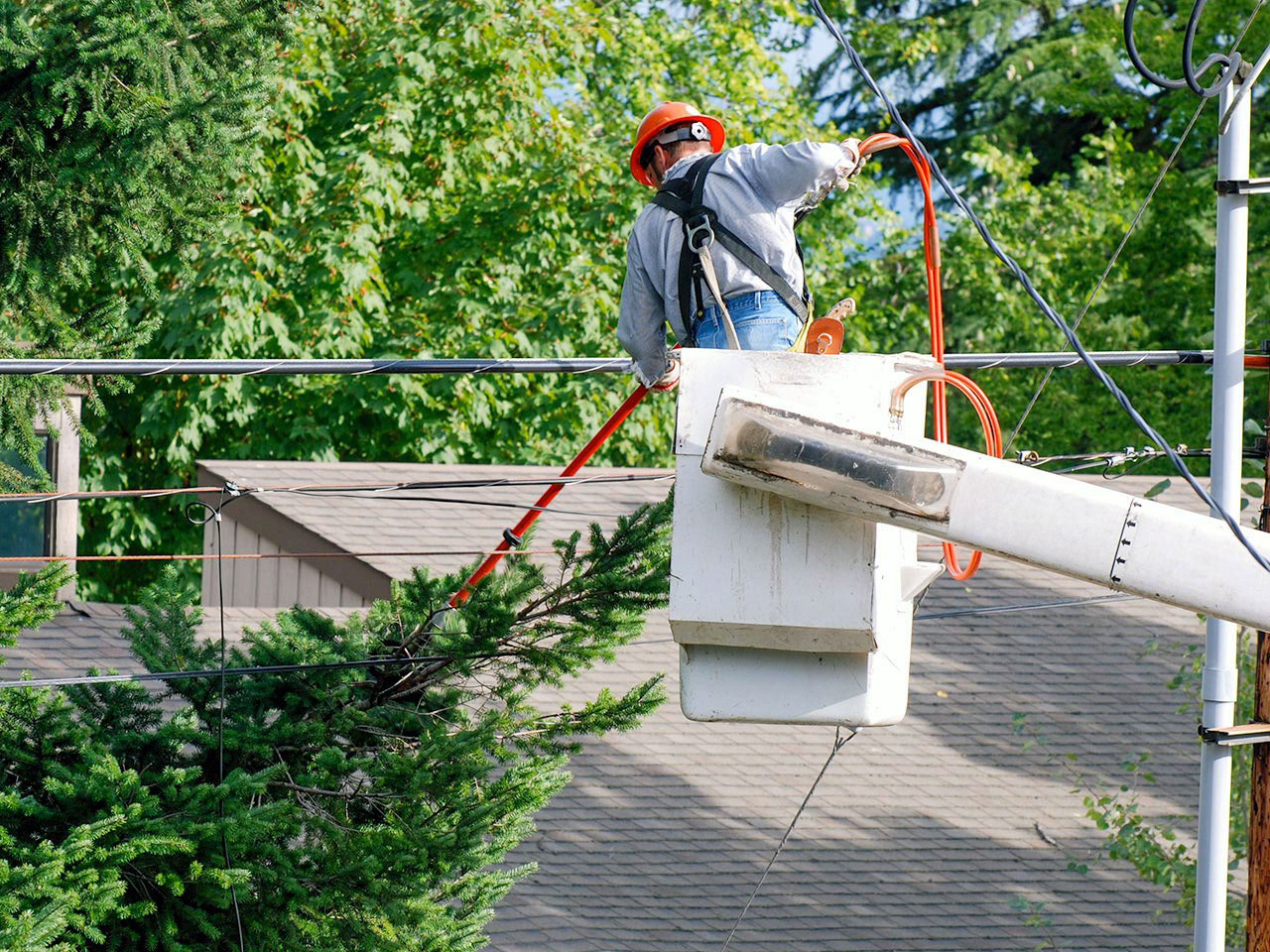 Oncor works with line-qualified tree pruning contractors who help prevent outages through proper tree maintenance.
